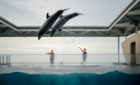 【周辺観光】上越市立水族博物館「うみがたり」